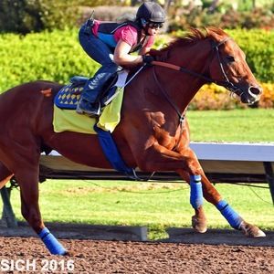 Meet your Posher, Julie